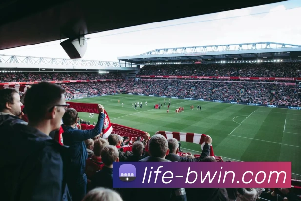 Bwin必赢官网APP 封面图